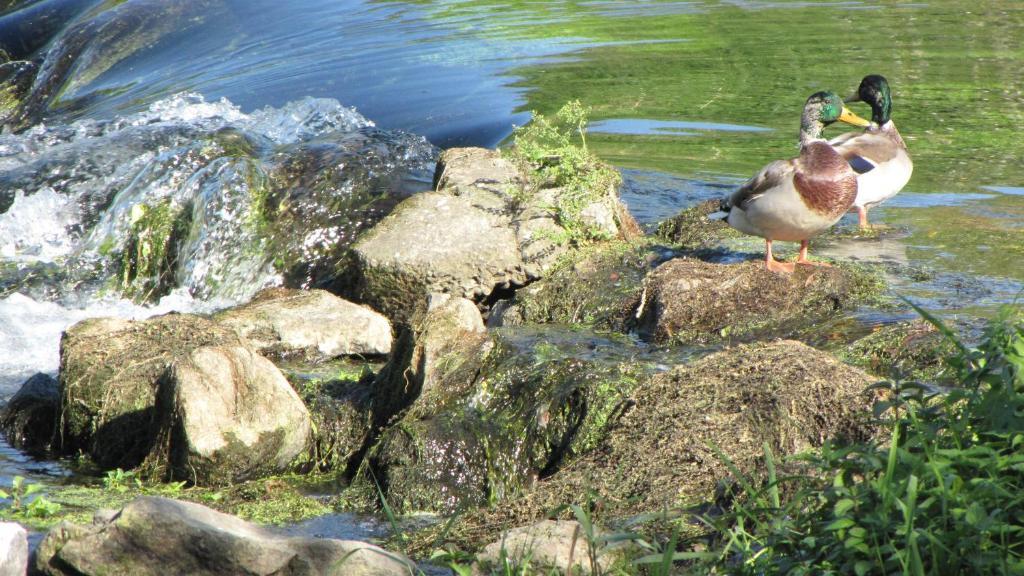 فندق لو كابالان Vogelgrun المظهر الخارجي الصورة